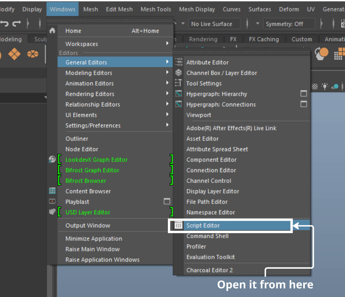 Script Editor 1